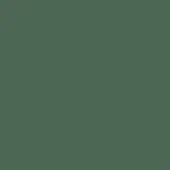 Verde salvia lacquered surface, smooth matte finish, consistent muted green tone with subtle luminosity variations, even diffuse lighting.